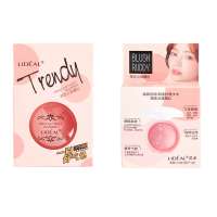 Trendy High Light  Natural Silky Soft Smooth Peach Ruddy delicate powder cosmetic makeup Blusher kit